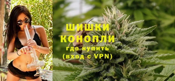 гидра Белокуриха
