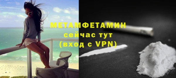 гидра Белокуриха