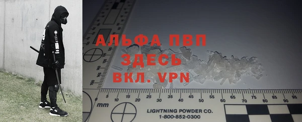 индика Белоозёрский
