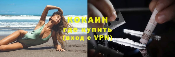 индика Белоозёрский