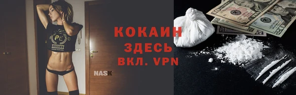 индика Белоозёрский