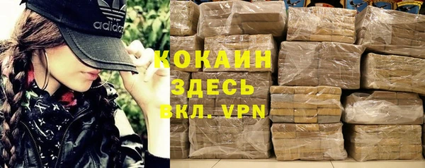 индика Белоозёрский