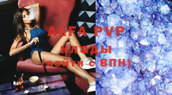 гидра Белокуриха