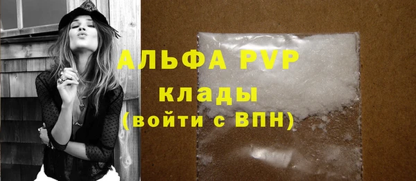 индика Белоозёрский