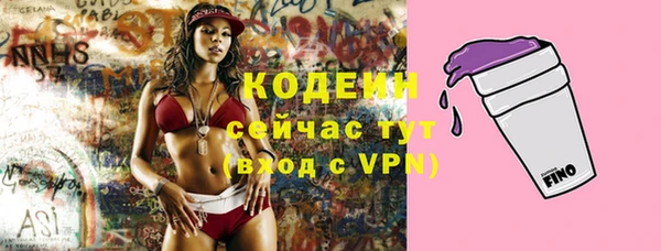 гидра Белокуриха