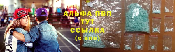 индика Белоозёрский