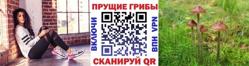 Галлюциногенные грибы MAGIC MUSHROOMS  Облучье 